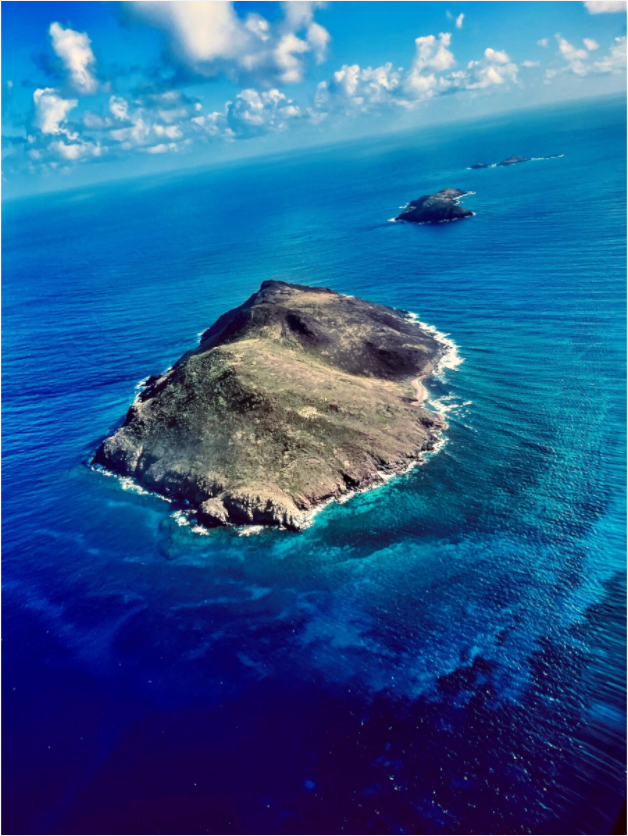 Main image Wings Across Caribbean