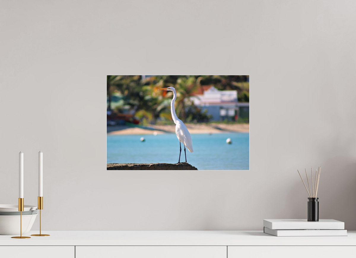 45 x 30 cm, Slimline Case Sitting Pretty