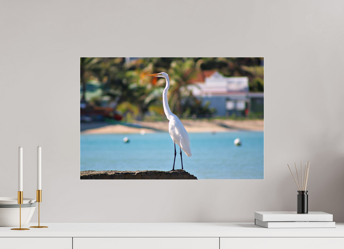 60 x 40 cm, ACRYLIC GLASS Sitting Pretty