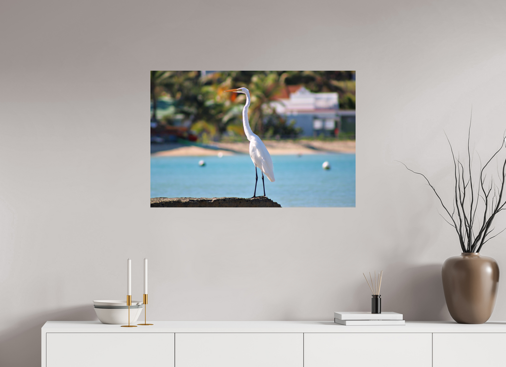 90 x 60 cm, Photo Print On Fuji Crystal DP II Sitting Pretty