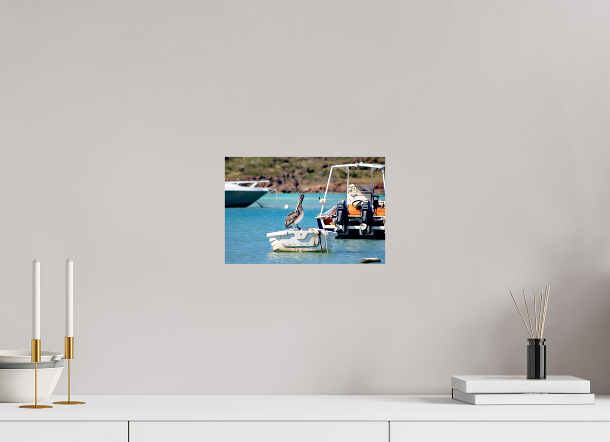 30 x 20 cm, Photo Print On Fuji Crystal DP II Take A Break