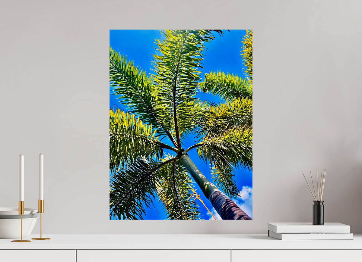 45 x 60 cm, Photo Print On Fuji Crystal DP II Caribbean Veil