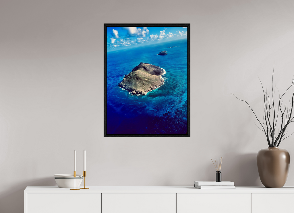 60 x 80 cm, Floater Frame Wings Across Caribbean
