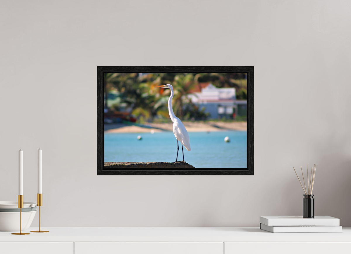 45 x 30 cm, Floater Frame Sitting Pretty