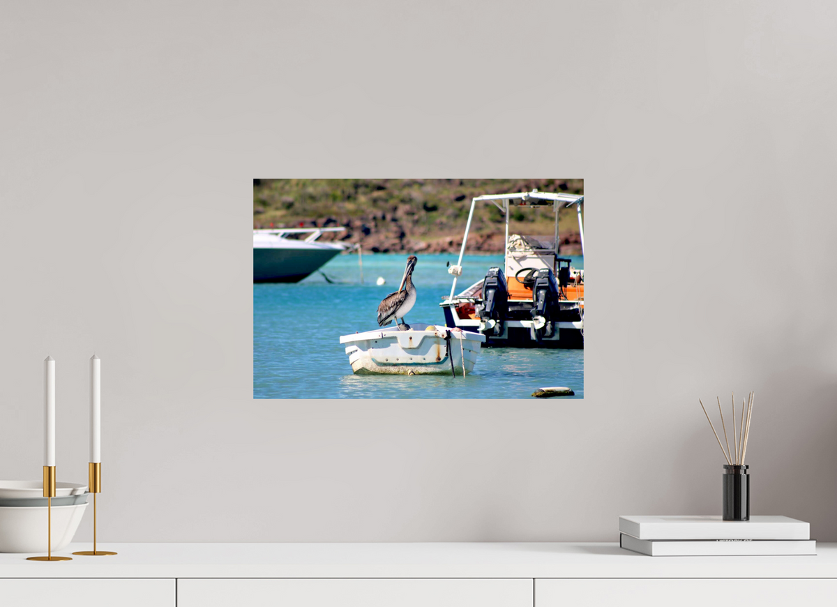 45 x 30 cm, Photo Print On Fuji Crystal DP II Take A Break